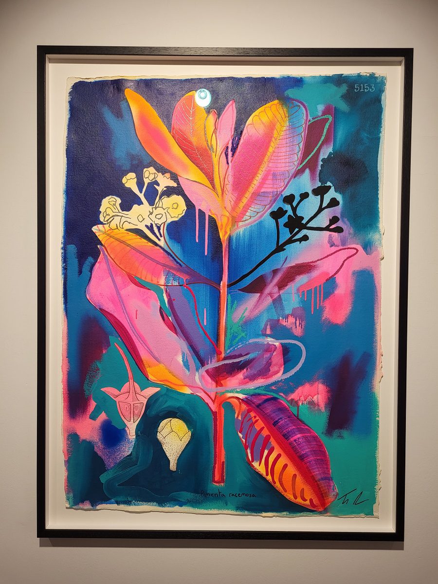 The vibrant colours of Tim's work immediately draw you in Tim Fowler’s Vibrant Exhibition ‘The Ground’ – Leicester